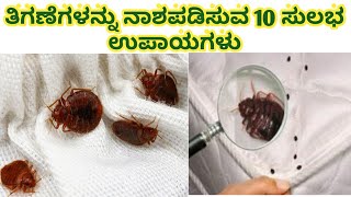 ತಿಗಣೆಗಳನ್ನು ನಾಶಪಡಿಸುವ 10 ಸುಲಭ ಉಪಾಯಗಳು|ತಿಗಣೆಗಳನ್ನು ನಾಶಪಡಿಸುವ ವಿಧಾನಗಳು|how to control bed bags in Kan