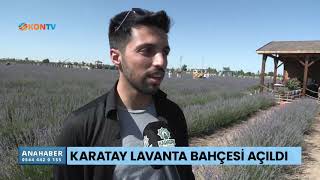 Karatay Lavanta Bahçesi açıldı