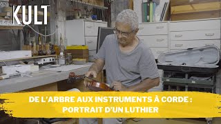 De l’arbre aux instruments à corde : portrait d’un luthier