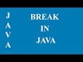 break statement in for loop in Java Language