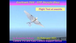 軽量型オオタカ型羽ばたき機試験飛行　EPP Wing　GosHawk 26iV with EPP Straight wings: Flight Test at seaside