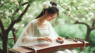 [Traditional Chinese musical instruments] The peaceful relaxing music bring a sense of comfortable