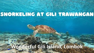 Wonderful Gili Trawangan - Lombok! Snorkeling at Gili Island