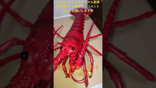 ビックサイズフィギュア伊勢海老🦐フィギュア⁉️