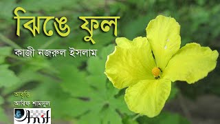 ঝিঙে ফুল ~ কাজী নজরুল ইসলাম | Jhinge Phul ~ Kazi Nazrul Islam | Arif Shamsul