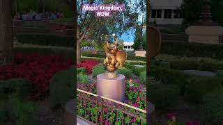 Magic Kingdom fun at Walt Disney World, 50th Anniversary Celebration! 💫