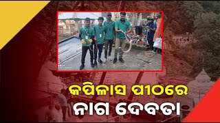 ଶେଷ ସୋମବାରରେ ମନ୍ଦିର ଭିତରେ ଦର୍ଶନ ଦେଲେ ନାଗ ଦେବତା, ଲୋକେ କହିଲେ ଅଲୌକିକ ଘଟଣା || Knews Odisha