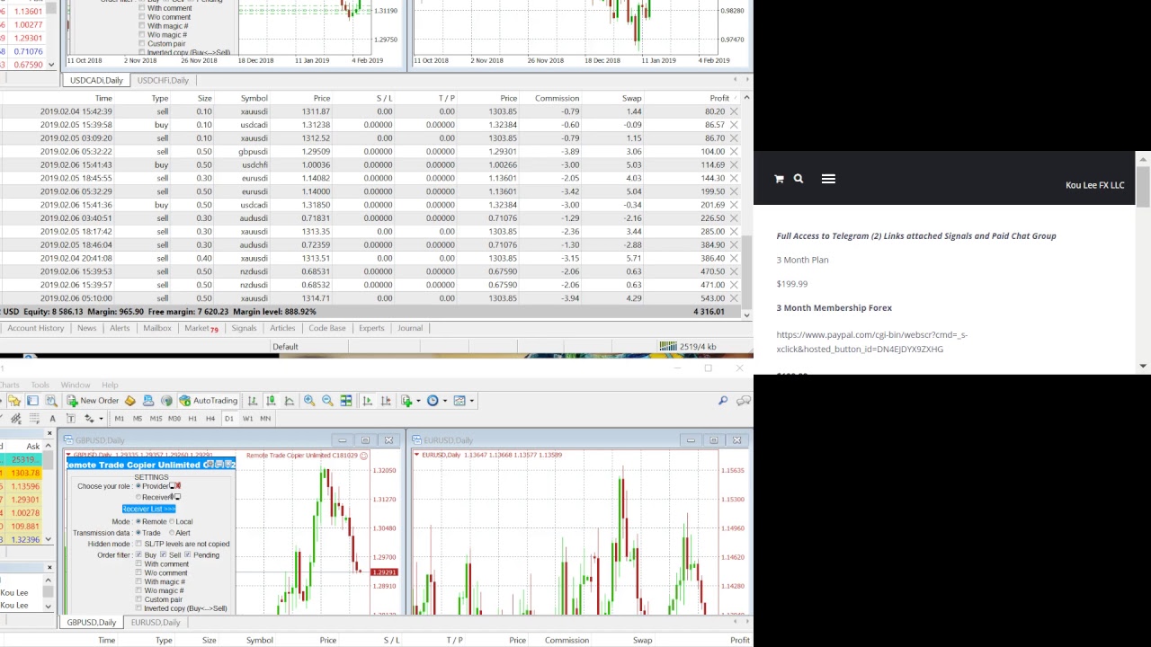 Forex Live Trading Software Youtube