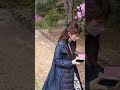 広田神社ツツジ