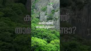 Forest Camping | Chinnar Forest | Idukki