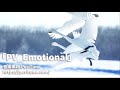 【無料フリーbgm】ピアノ＆弦の感動的なbgm「pv_emotional」