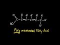 B1.1.10 Saturated, Monounsaturated and Polyunsaturated Fatty Acids