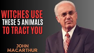 5 Animals Witches Use to Monitor Your Every Move || John MacArthur