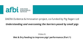 6. Wet \u0026 Dry feeding to improve pigs’ performance (Part 1)