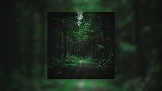 Dark Choir Slowed Zyzz Hardstyle