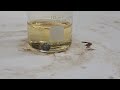 Pure Osmium dissolving in hot nitric acid