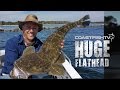 BIG Flathead fishing | Fish of a lifetime | CoastfishTV