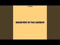 Whispers in the Harbor