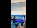 Toddler swimming lesson : Happy fish swim school