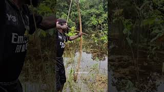 Memanah ikan dari jarak jauh