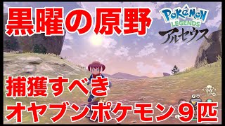 黒曜の原野に出現する捕獲すべきオヤブンポケモン９種類を紹介！【Pokémon LEGENDS　アルセウス】