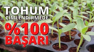 How to make 100% Seed Germination II #seed germination