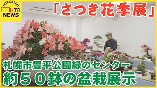 札幌のサツキ愛好家らが育てたおよそ５０鉢の盆栽を展示…「さつき花季展」　札幌市豊平公園緑のセンター