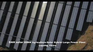 20MW project of large-scale agricultural and PV complementary solar power station from DAH Solar