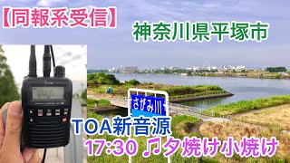 【受信】神奈川県 平塚市「夕焼け小焼け」 TOA新音源 防災行政無線チャイム