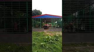 3D COW SHED I আধুনিক প্রযুক্তিতে গরুর খামার তৈরি করুন কম খরচে স্টিলের শেড