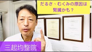 体のだるさ、むくみの原因は腎臓かもしれません東京都杉並区久我山駅前整体院「三起均整院」