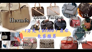 Hermes | LV | Celine | Gucci | Loewe 预算1万多($2500)能买到的顶级奢侈品包袋 | 第一支大牌包推荐❗️|  YSL | Goyard | burberry