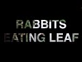 Video in Text Background Using HTML CSS