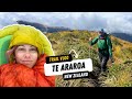 I got hypothermia in the Tararuas | New Zealand’s Te Araroa Vlog 22