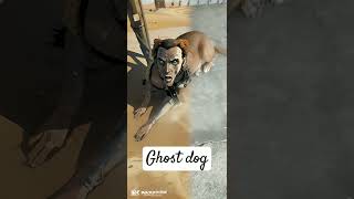 #trendingshorts #ghostdog #dog #trendingvideo #ghost #doglover #dogowner #halloween #ghostghost #s