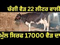 ਚੰਗੀ ਵੈੜ 22 ਲੀਟਰ ਵਾਲੀ, ਮੁੱਲ ਸਿਰਫ 17000 ਵੈੜ ਦਾ #azaddairyfarm #dairy #cows