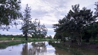 บรรยากาศ ที่ดิน บ้านสวน คลอง 14 องครักษ์ นครนายก