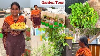 அம்மா வீட்டு தோட்டம் சுற்றி பார்க்கலாம் வாங்க | Garden Vlog Tamil | Vetri Priya Vlogs