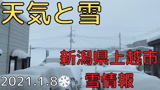 【天気と雪】雪情報その１（新潟県上越市）2021.1.8