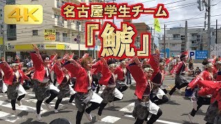 2019 6/9 名古屋学生チーム 鯱 平岸会場3パレ目 YOSAKOIソーラン祭り YOSAKOI SORAN Festival