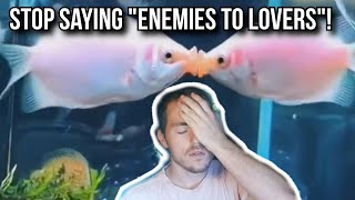 These Fish Are NOT In Love! Don't Write Fanfics About Them!