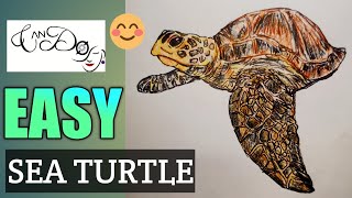 How To Draw A Sea Turtle Step By Step For Beginners | Easy Sea Turtle Drawing Tutorial | Animal Draw