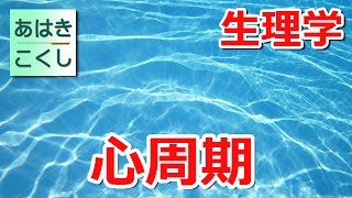 鍼灸 国家試験対策 生理学 - 心臓 心周期 [あはきこくし]