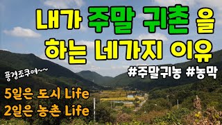 내가 주말귀촌을 선택한 이유 4가지 | 5도2촌 | 주말귀농 | 주말농장 | 가족농장 | 소액재테크 | 부동산 | 시골땅매입