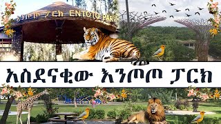 አስደናቂው እንጦጦ ፓርክ የመጀመሪያው ቪዲዮ 😮….ውስጡ ያበደ ነው ላስጎብኛችሁ::  እንዲሁም መጎብኘት ከፈለጋችሁ ማወቅ የሚገባችሁ ነገሮች 😮