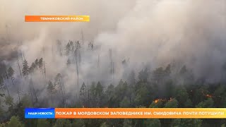 Пожар в Мордовском заповеднике им. Смидовича почти потушили