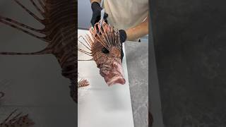 How would you cook this butterflied Lionfish!?