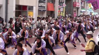 朝霞彩夏祭連合チーム関八連（よさこい祭り2016）全国大会・帯屋町筋会場