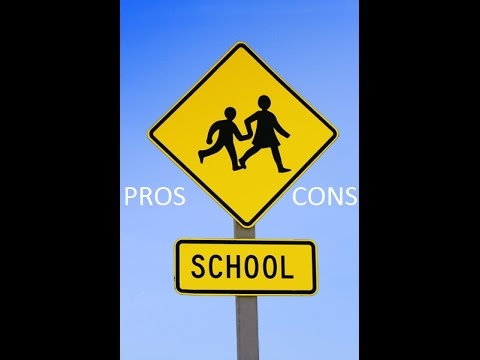What are the pros and cons of school vouchers?