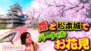 松本城で登久姫とバーチャルお花見体験♪桜満開☆一緒にお花見